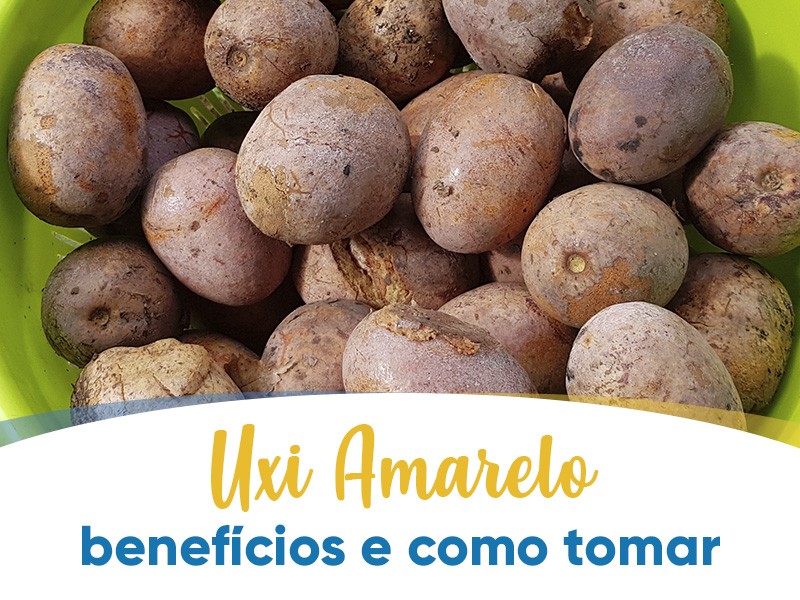 Uxi Amarelo: benefcios e como tomar